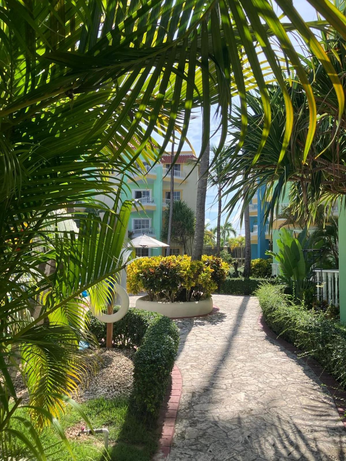 Palm E-6-two-level With A View Of The Pool